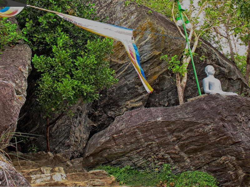 Jungle Walks And Hikes7